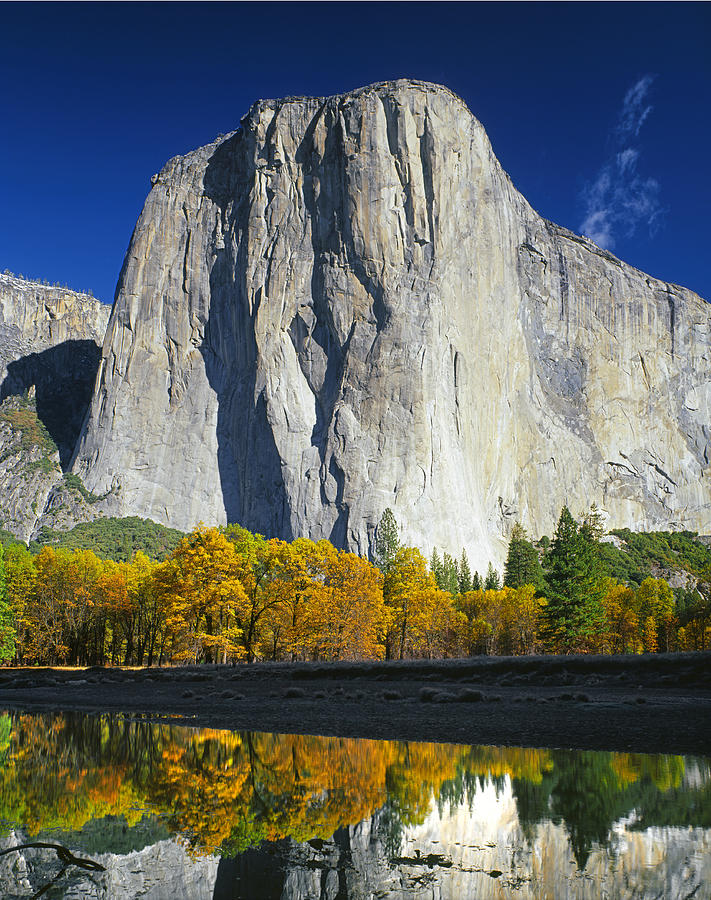 2M6516-El Capitan Reflect Photograph by Ed  Cooper Photography
