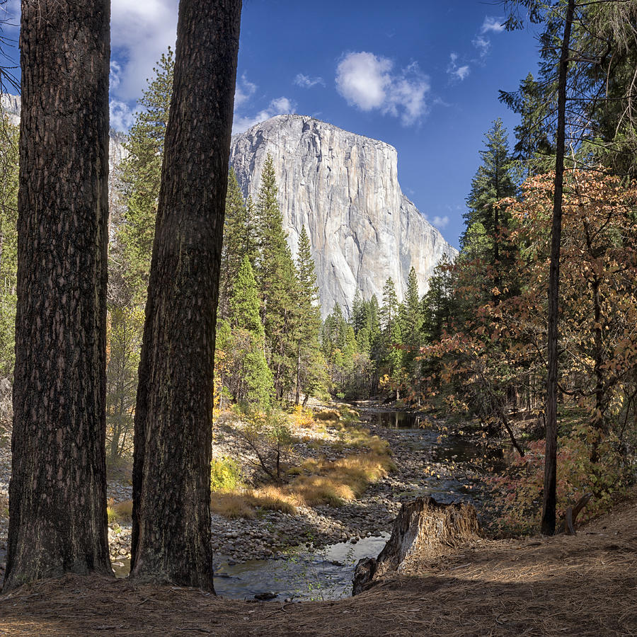 Yosemite National Park Photograph - El Capitan by Robert Fawcett