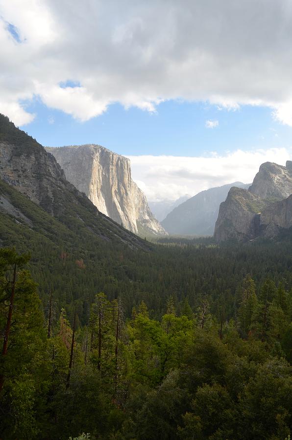 El Capitan Yosemite Photograph by Alex King