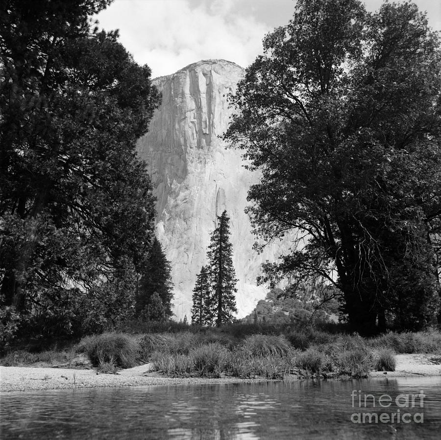 El Capitan Yosemite Photograph by Riccardo Mottola