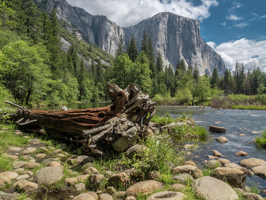El Capitan Yosemite Valley View Photograph by Michael H Spivak