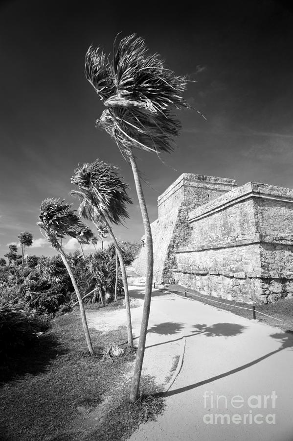 Mayan Photograph - El Castillo Yucatan Mexico by Justin Foulkes