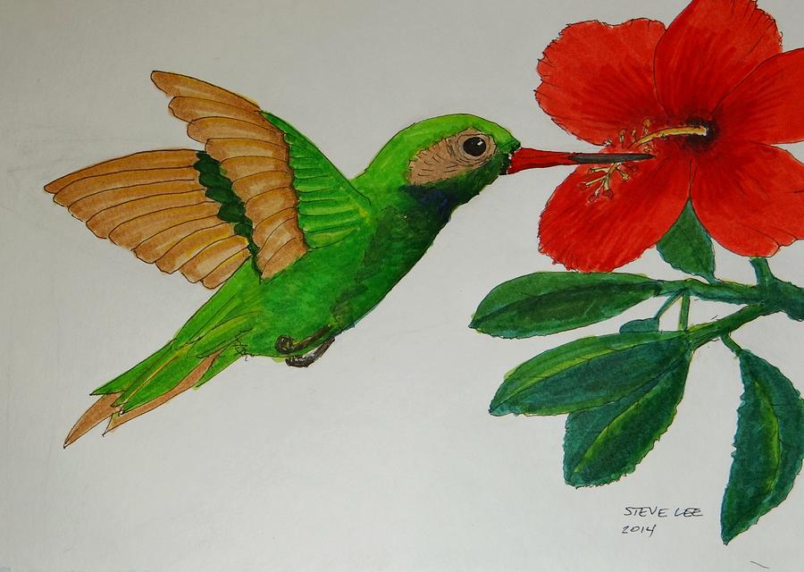 El colibri Painting by Steven Tomsik - Fine Art America