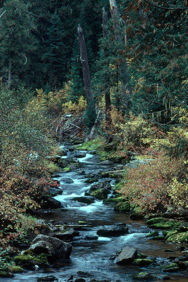 El Dorado Creek Photograph by Theodore Clutter - Fine Art America