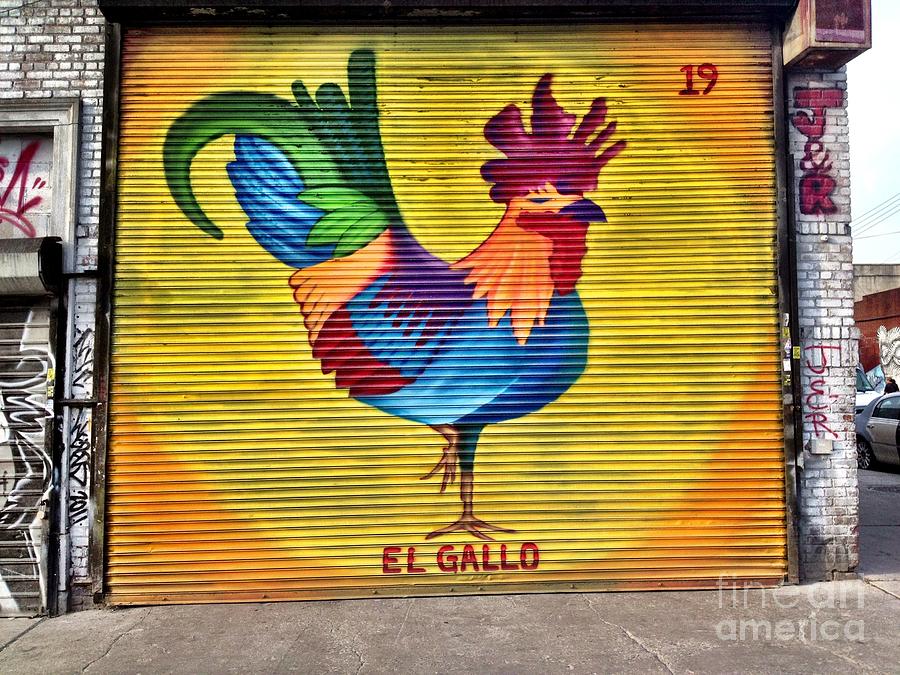 El Gallo Photograph by Donald Groves - Fine Art America