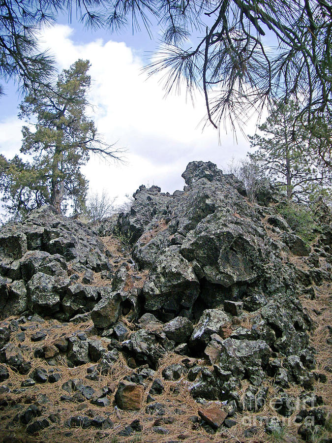 El Malpais Cinder Ridge Detail 2 Photograph by Birgit Seeger-Brooks
