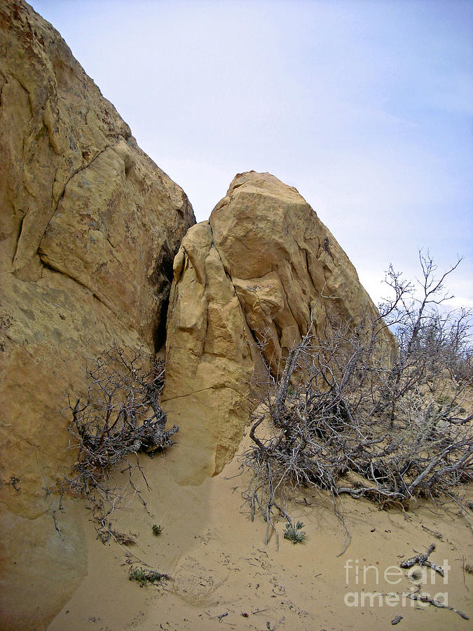 El Malpais Sand Bluff 2 Photograph by Birgit Seeger-Brooks