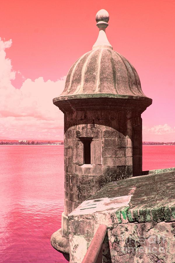 Nature Photograph - El Morro in the Pink by Alice Terrill