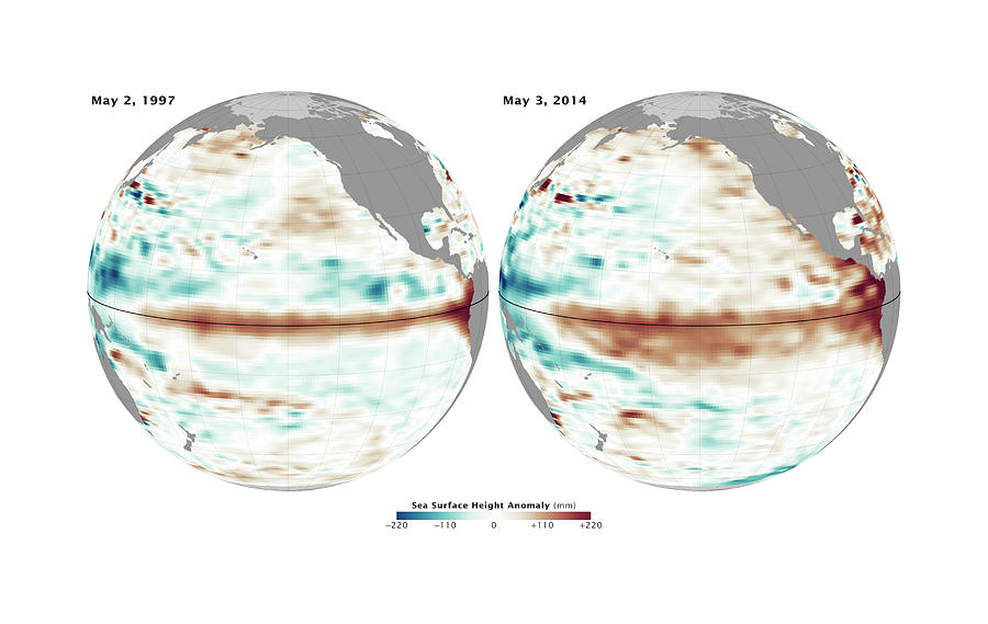 El Nino Comparison Photograph by Nasa/jpl Ocean Surface Topography Team