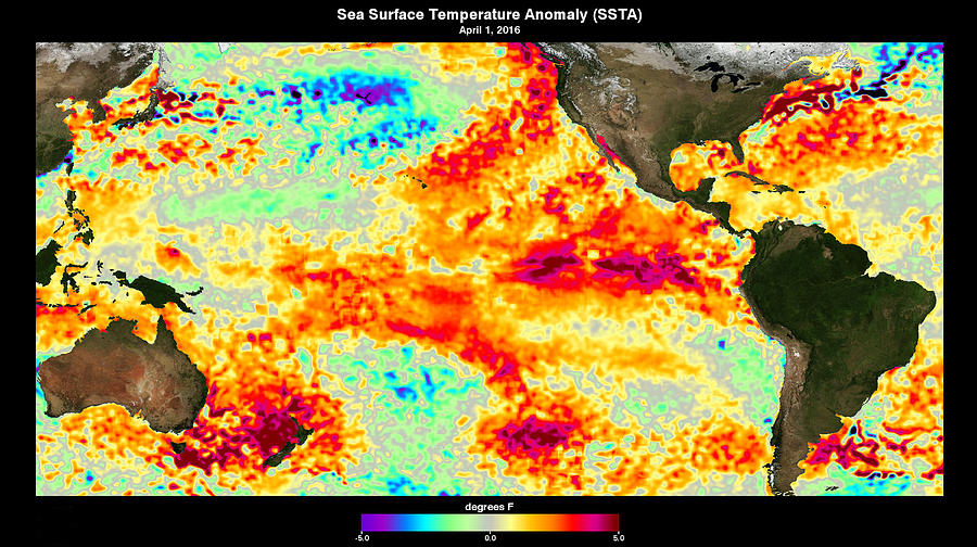 El Niño, Sea Surface Temperature, 2016 Photograph by Science Source ...