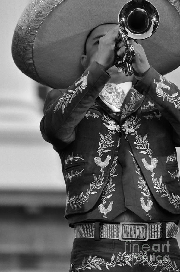 Mariachi Photograph - El Orgullo De Un Mariachi by Kristine Celorio Mariachi Photograph - El Orgullo De Un Mariachi by Kristine Celorio