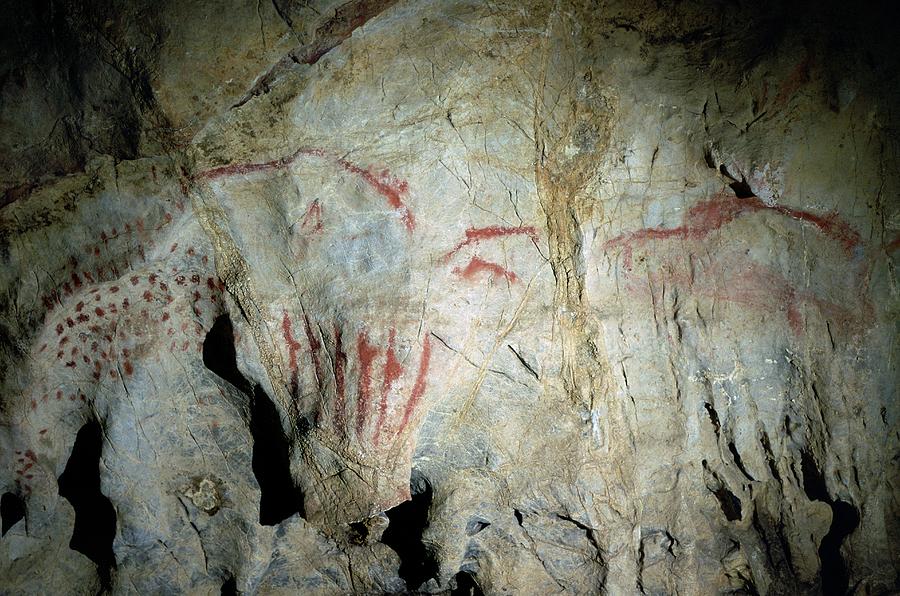 El Pindal Cave Paintings Photograph by Javier Trueba/msf/science Photo Library