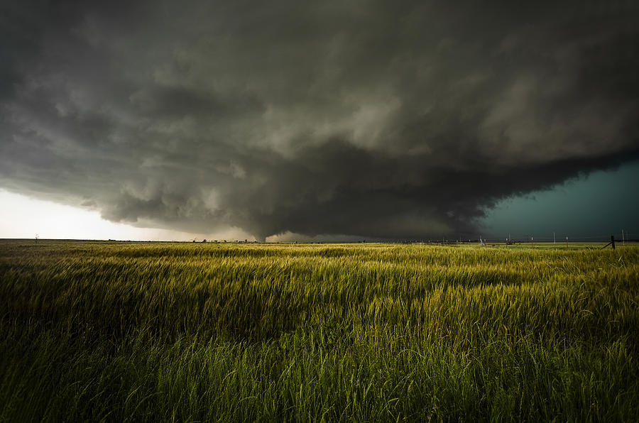 Nature Photograph - El Reno Tornado by Douglas Berry