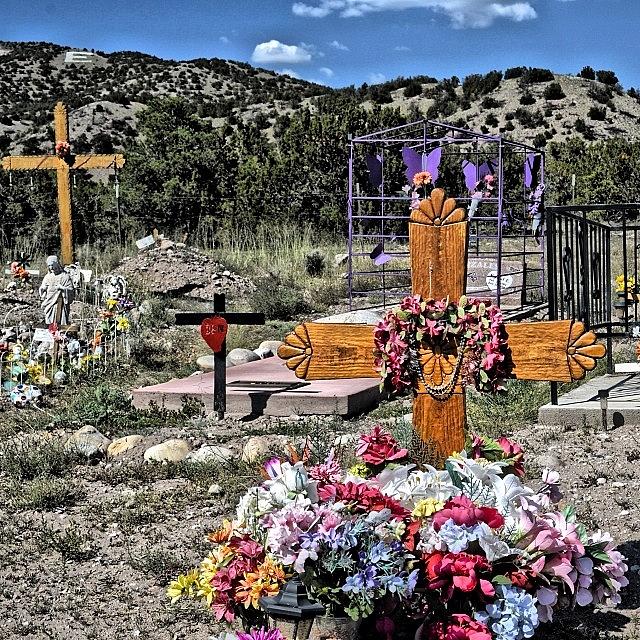Flower Photograph - El Rito Cemetery by Gia Marie Houck