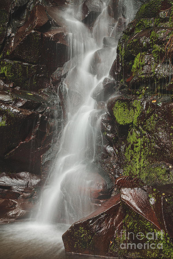 El Salto Waterfall Photograph by Iris Greenwell