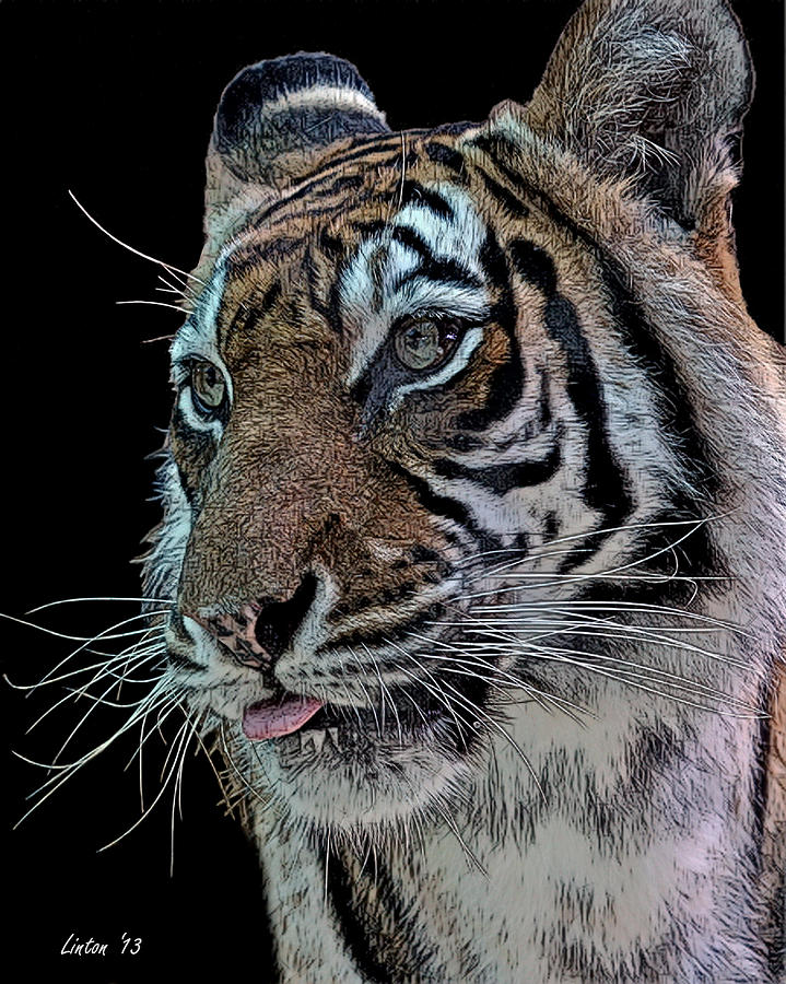 El Tigre 3 Digital Art by Larry Linton