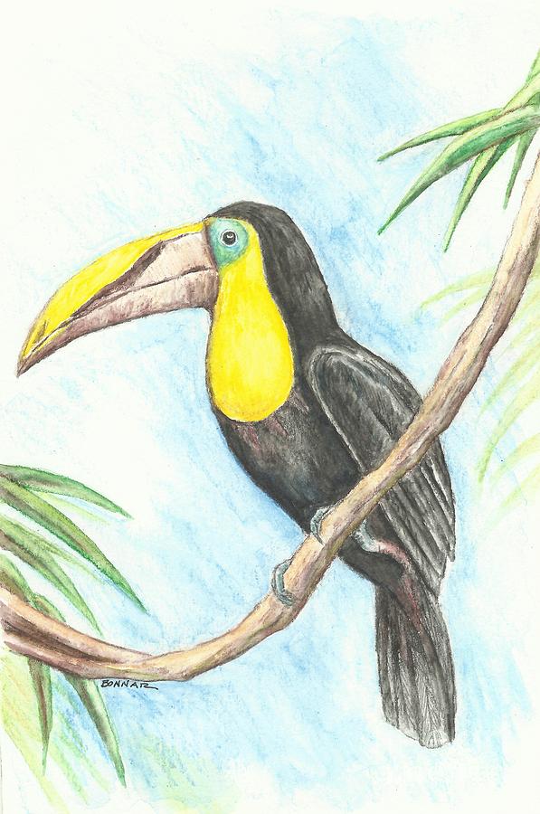 El Tropicano Toucan Painting