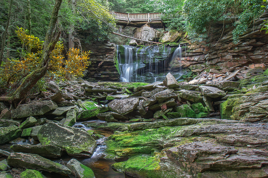 Elakala Falls Photograph by Mary Almond