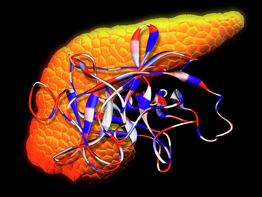 cystic-fibrosis-creon-stool-elastase