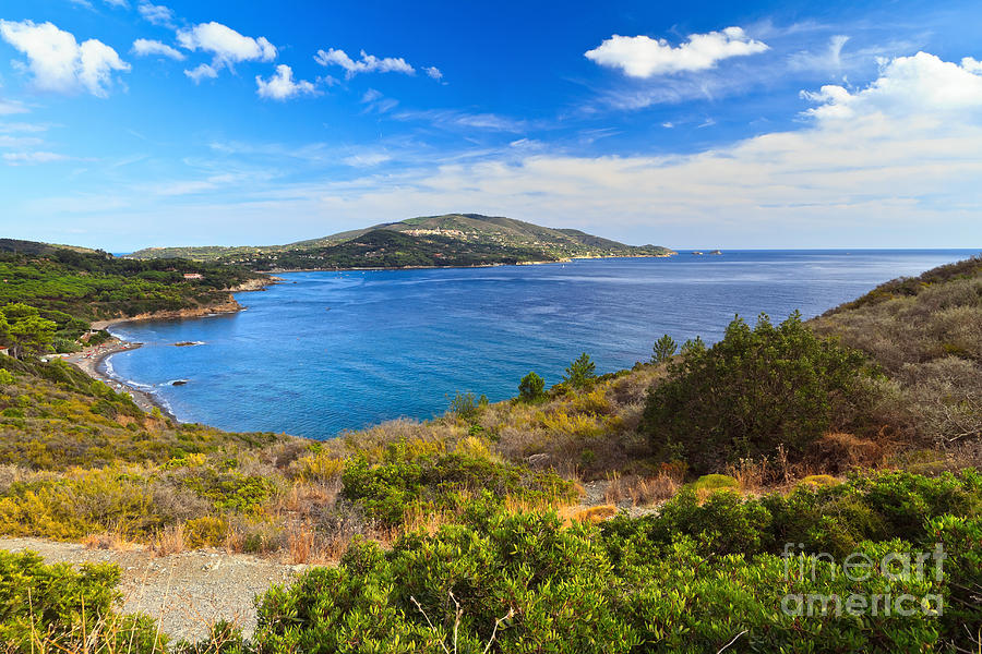 Elba island - Lacona bay Photograph by Antonio Scarpi