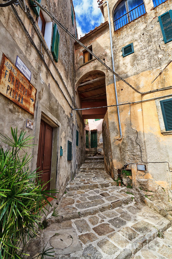 Elba Island - old town in Marciana Photograph by Antonio Scarpi