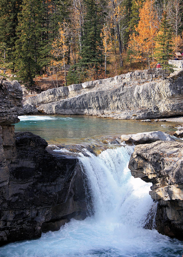Elbow Falls in Autumn Photograph by Gerry Bates