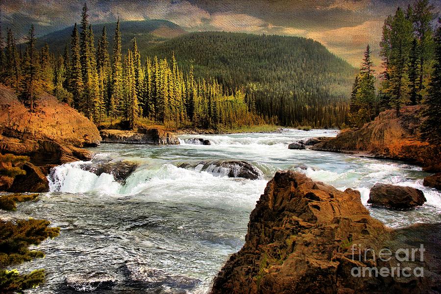 Tree Photograph - Elbow Falls by Vickie Emms
