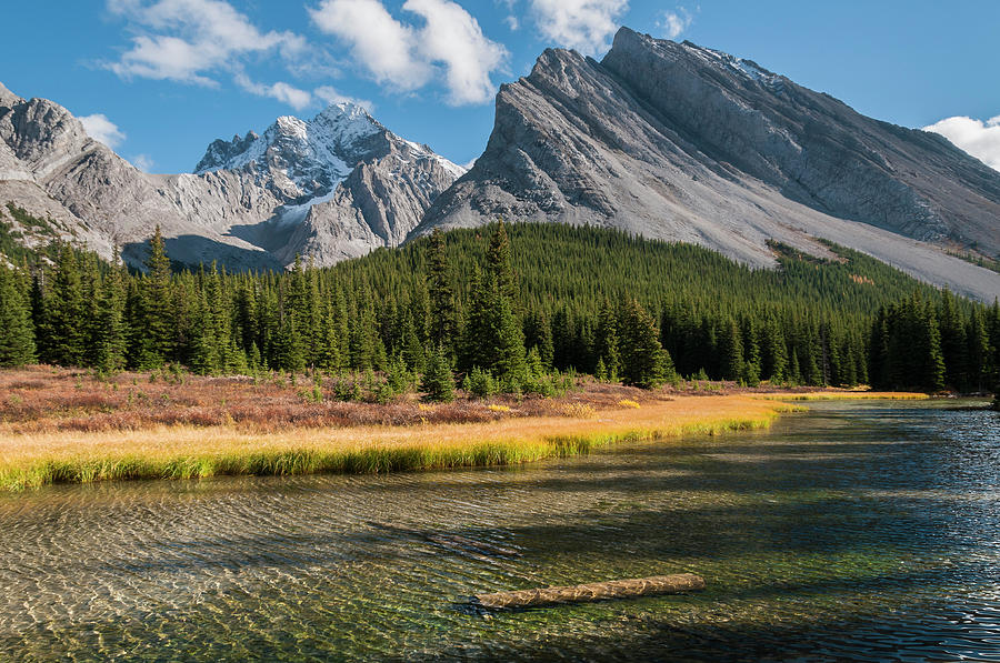 Elbow River Sparkles With Mount Rae Photograph by Marc Shandro Elbow River Sparkles With Mount Rae Photograph by Marc Shandro