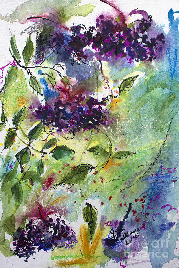 Elderberries Holunder Beeren Wild Fruit Painting by Ginette Callaway