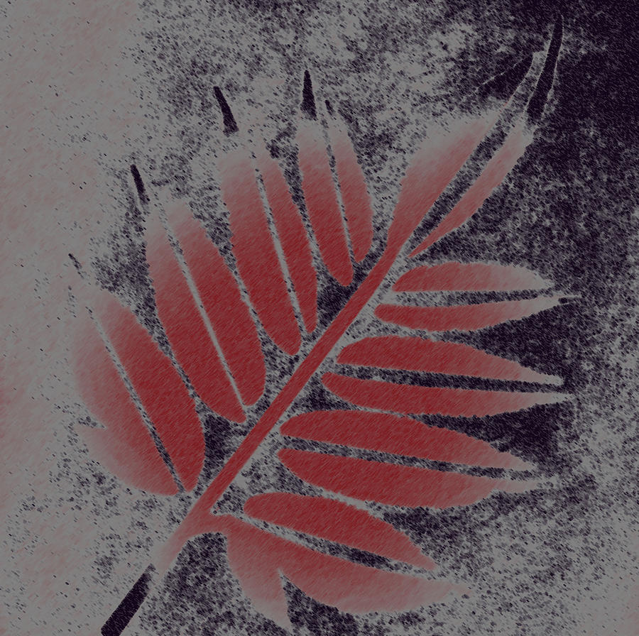 Elderberry Leaf Digital Art
