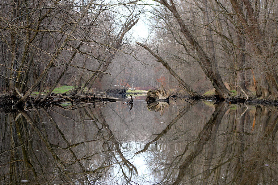 Eldons Reflection Photograph by Bruce Patrick Smith
