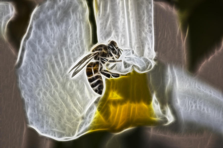 Electric Bee Digital Art by Photographic Art by Russel Ray Photos