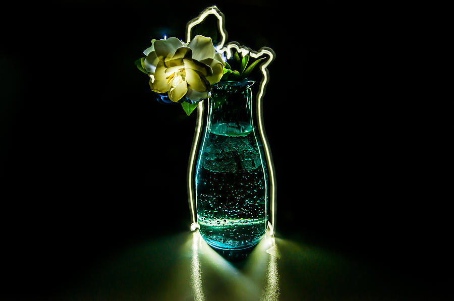 Flowers Still Life Photograph - Electric Bloom by Ryan Redlin