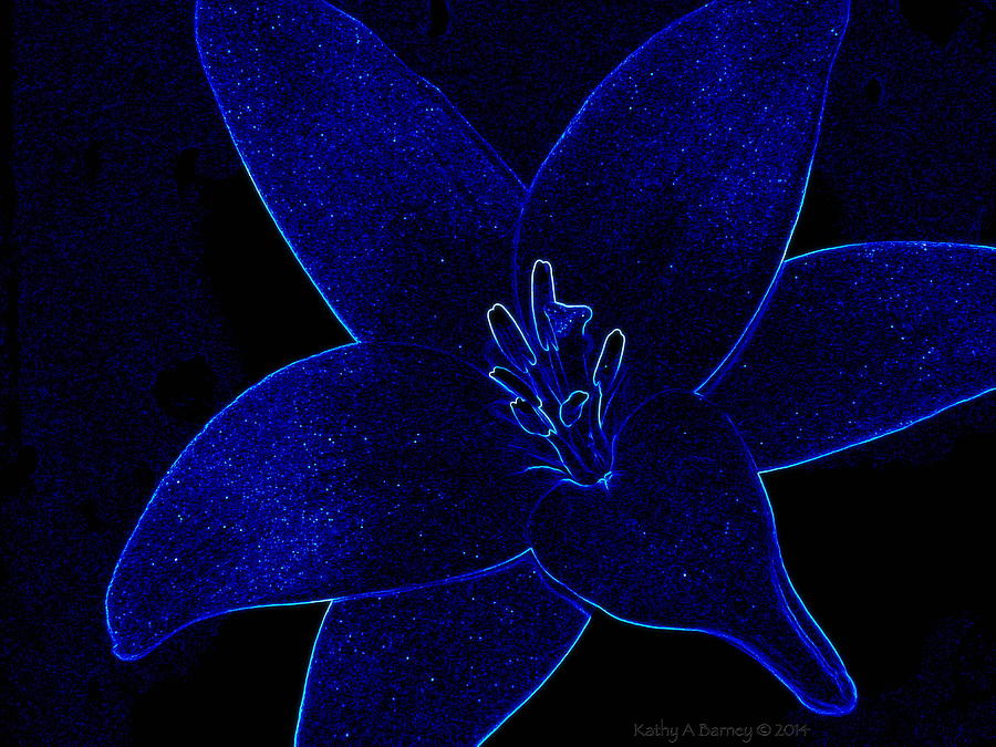 Lily Photograph - Electric Blue Lily by Kathy Barney