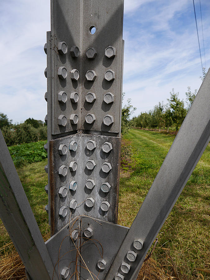 Electric Bolts Photograph by Richard Reeve