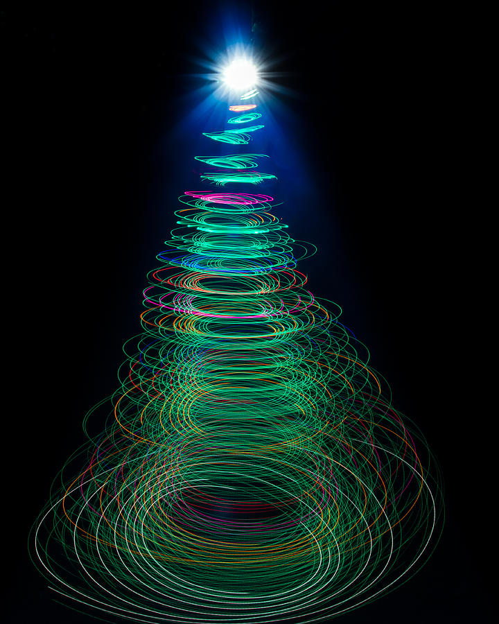 Electric Christmas Tree Farm 37 Photograph by Mike Chambers Fine Art