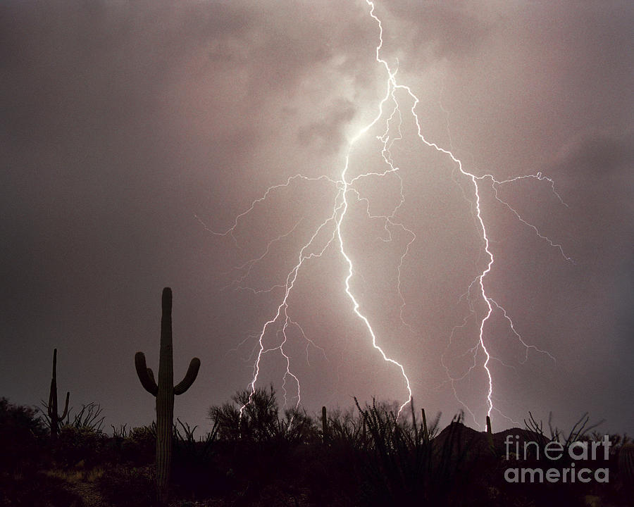 Sunset Photograph - Electric Desert by Douglas Taylor