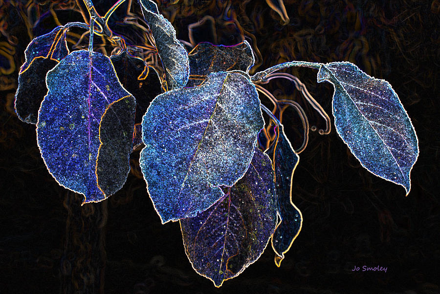 Electric Leaves Photograph by Jo Smoley