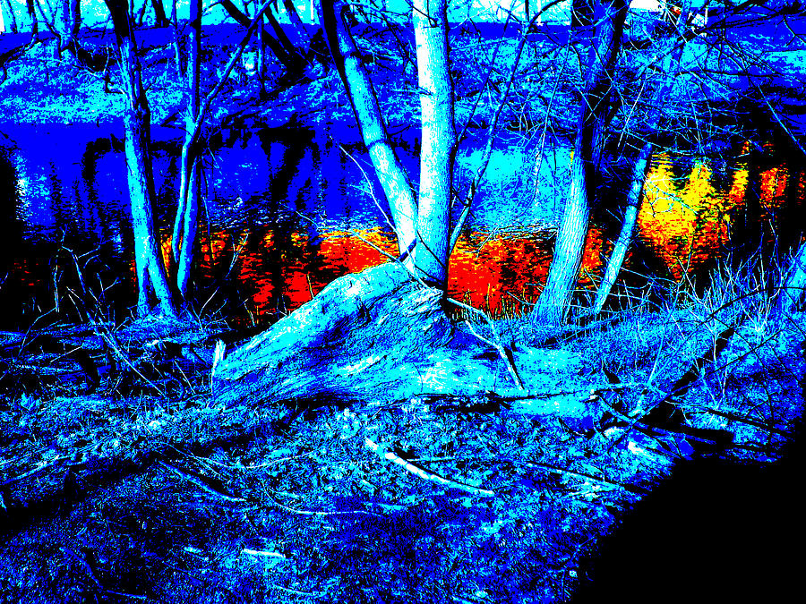 Nature Digital Art - Electric Pool Blue by Alex  Catillo