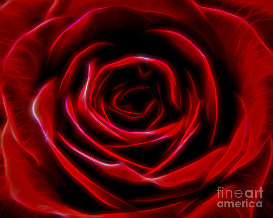 Nature Photograph - Electric Red Rose by BigCity Images