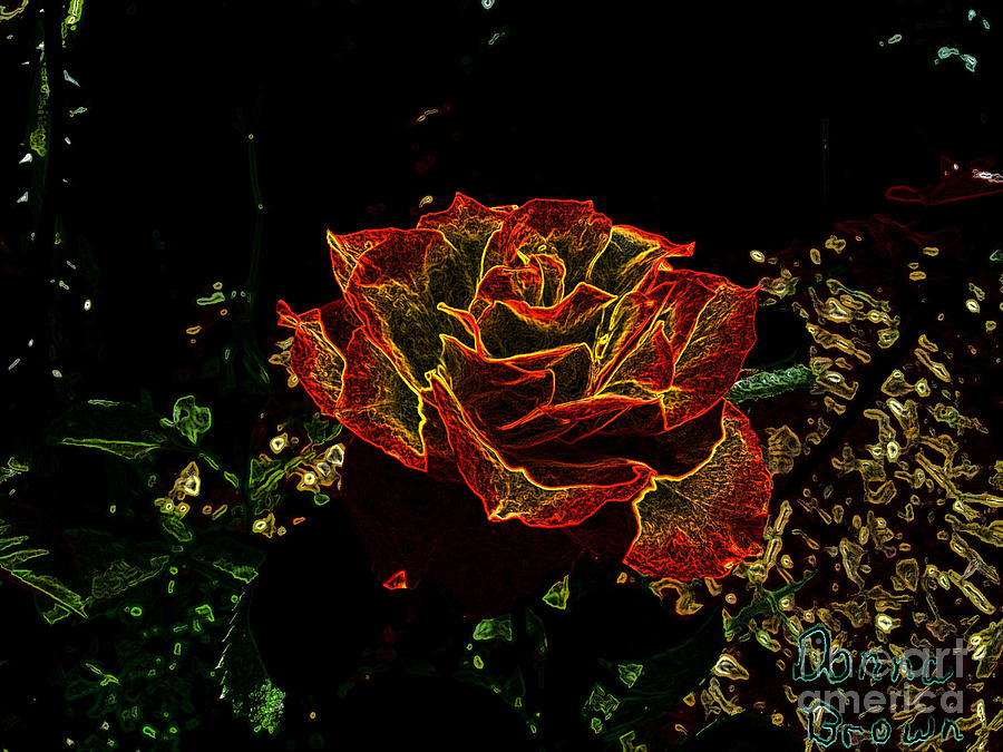 Electric Rose Photograph by Donna Brown