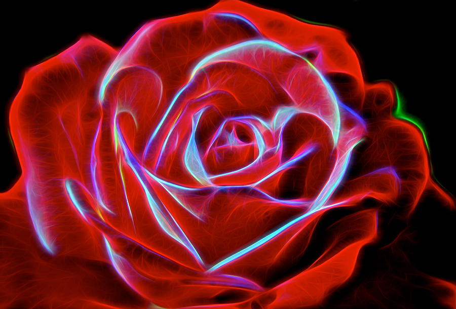 Electric Rose Photograph by Michael Biggs Fine Art America
