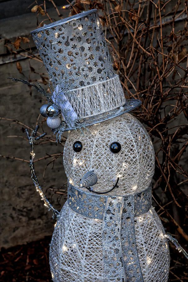 Electric Snowman Photograph by Robert Ullmann