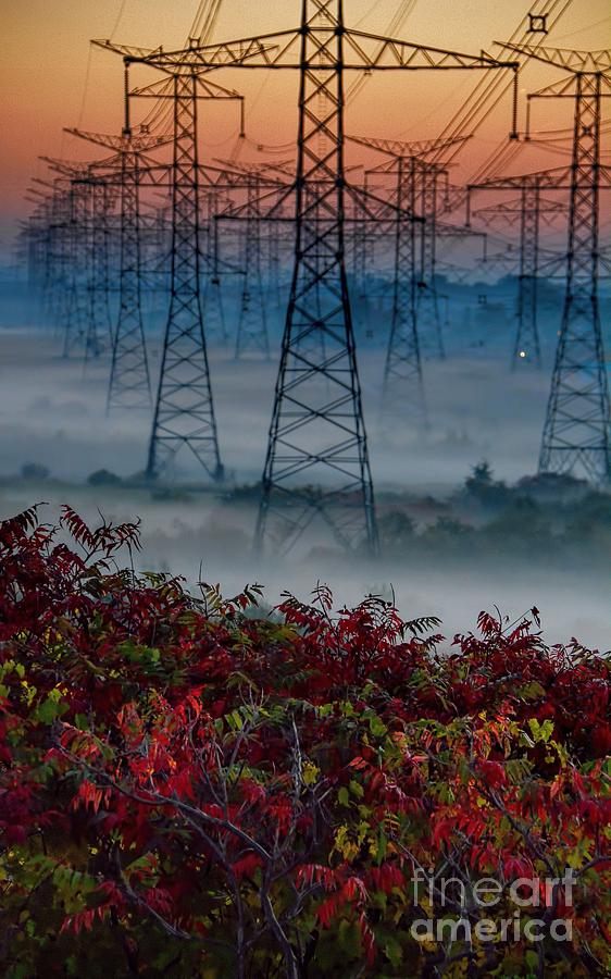 Electric Sumac Autumn Photograph by Henry Kowalski