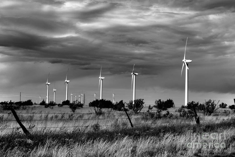 Electric Wind Farm on San Jon Hill in New Mexico Photograph by JD Smith