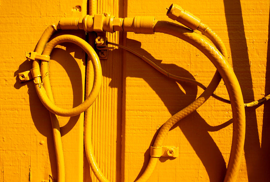 Abstract Photograph - Electric Yellow by Ross Lewis
