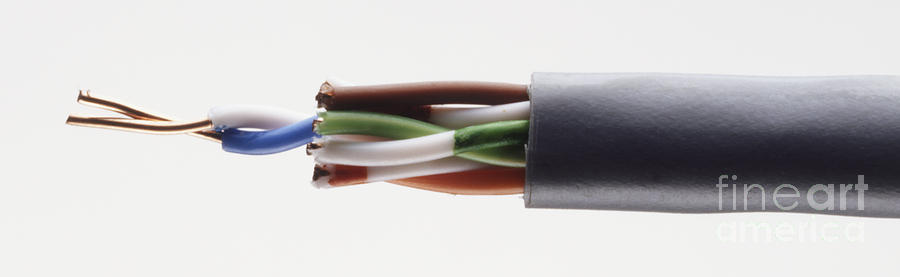 Electrical Cable With Wires Exposed Photograph by Dorling Kindersley