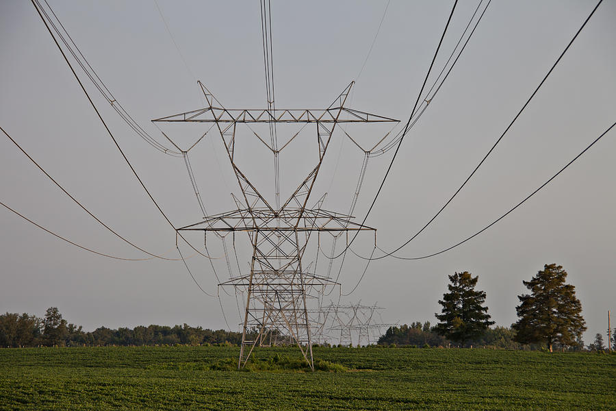 Tree Photograph - Electrical Tower in Field by Heather Reeder