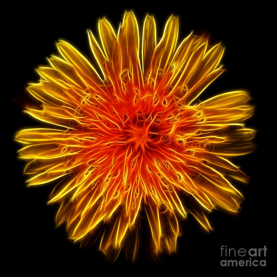 Abstract Photograph - Electrified Dandelion by Kaye Menner