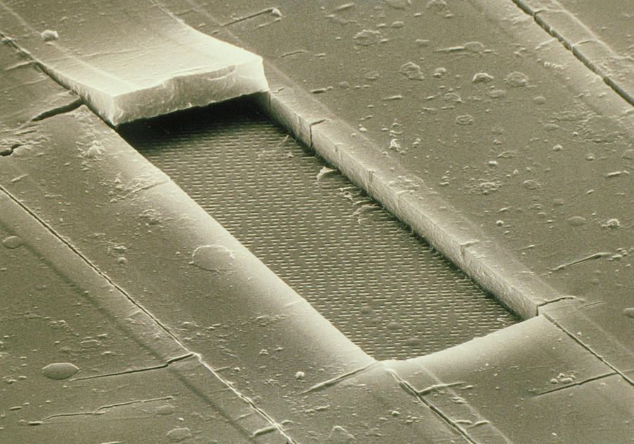 Electron Micrograph Of Compact Disc Photograph by Dr Jeremy Burgess/science Photo Library.